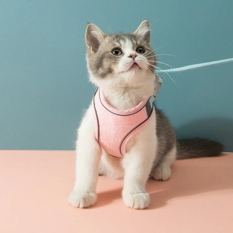 Cute cat harness in premium soft quality