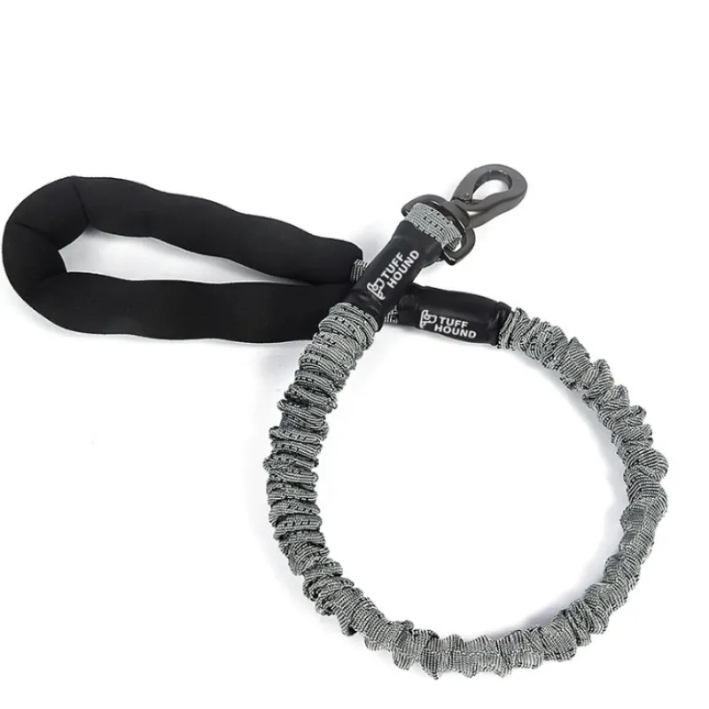 Shock-absorbing dog leash for large dogs