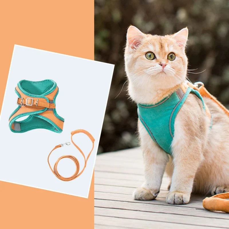 Cute cat harness in premium soft quality