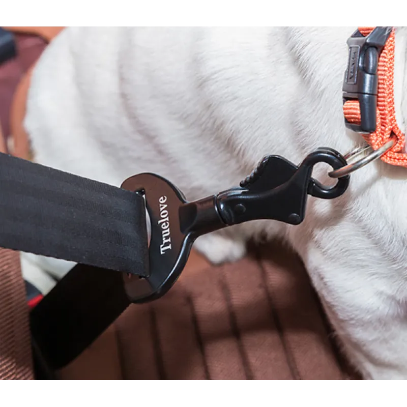 Premium anchor for the seat belt in the car