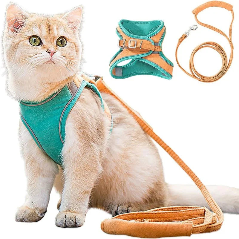 Cute cat harness in premium soft quality