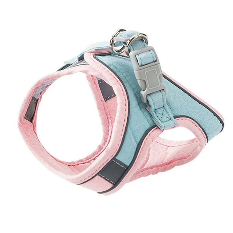 Cute cat harness in premium soft quality