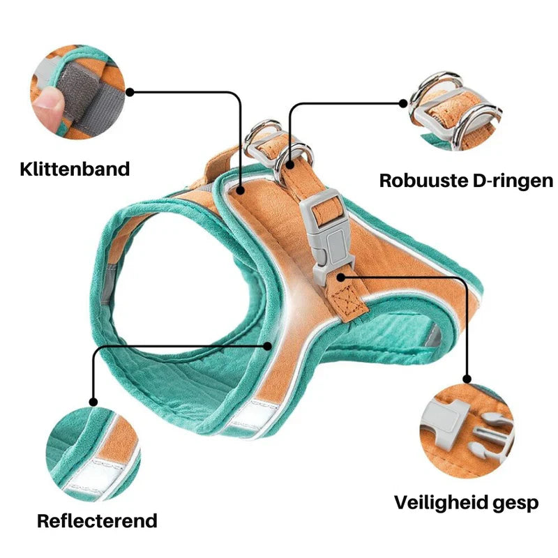 Cute cat harness in premium soft quality
