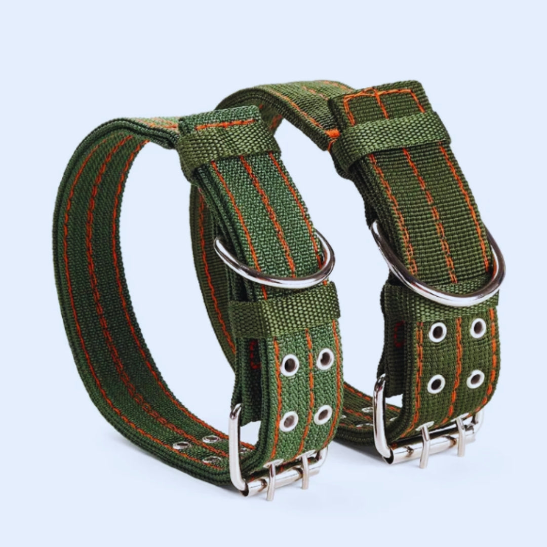 Adjustable nylon dog collar with metal buckle, standard