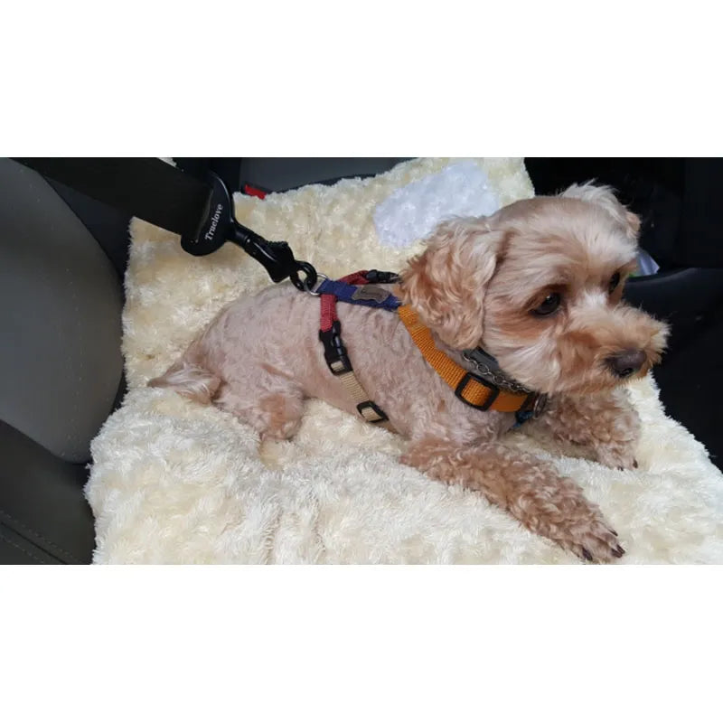 Premium anchor for the seat belt in the car