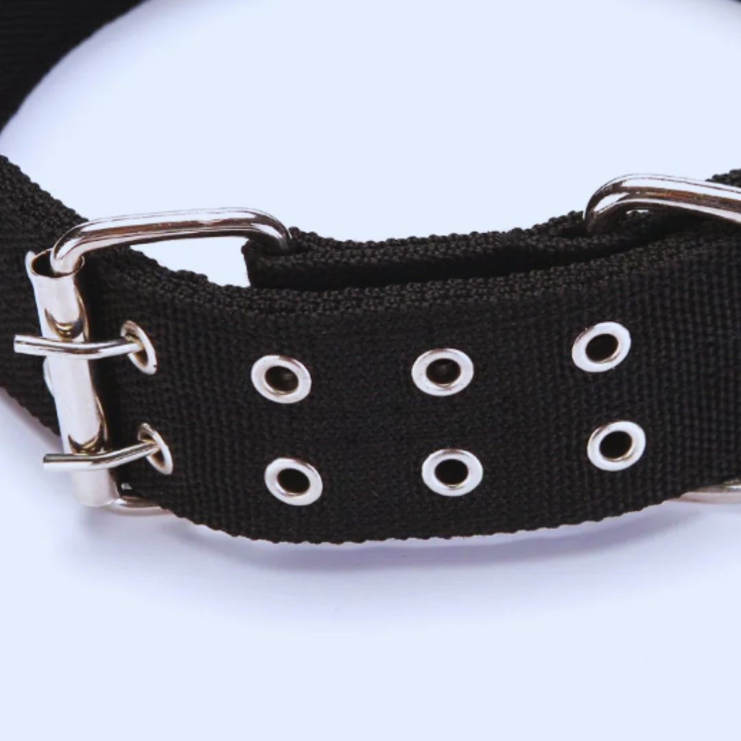 Adjustable nylon dog collar with metal buckle, standard