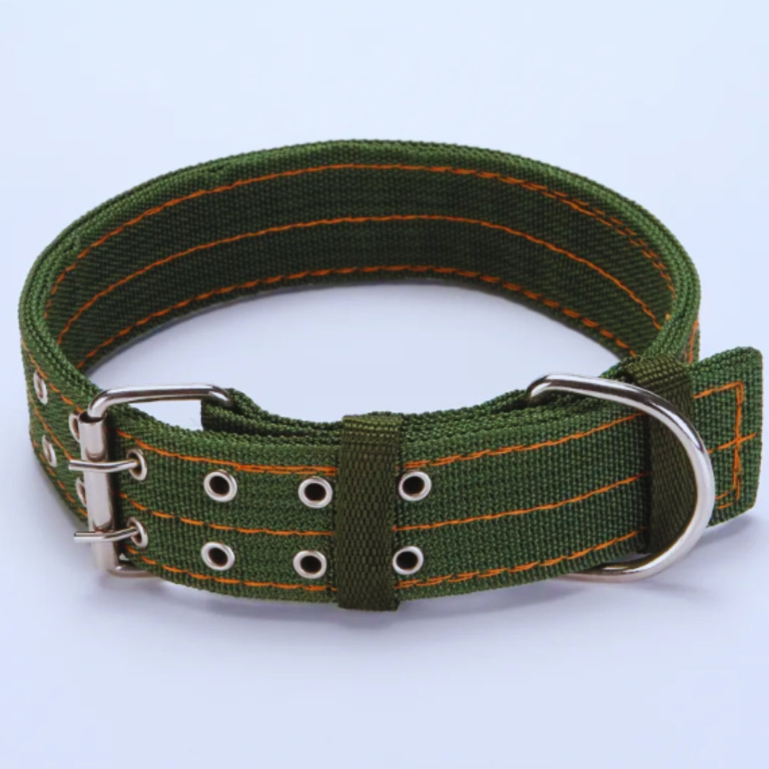 Adjustable nylon dog collar with metal buckle, standard