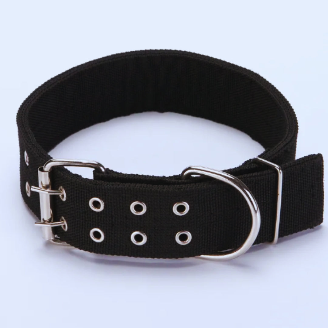 Adjustable nylon dog collar with metal buckle, standard