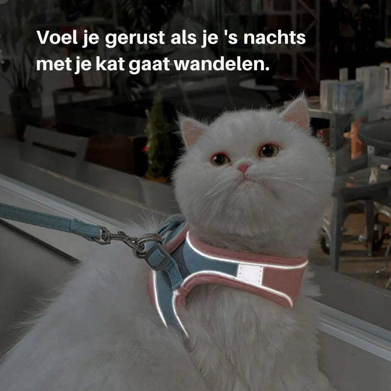 Cute cat harness in premium soft quality