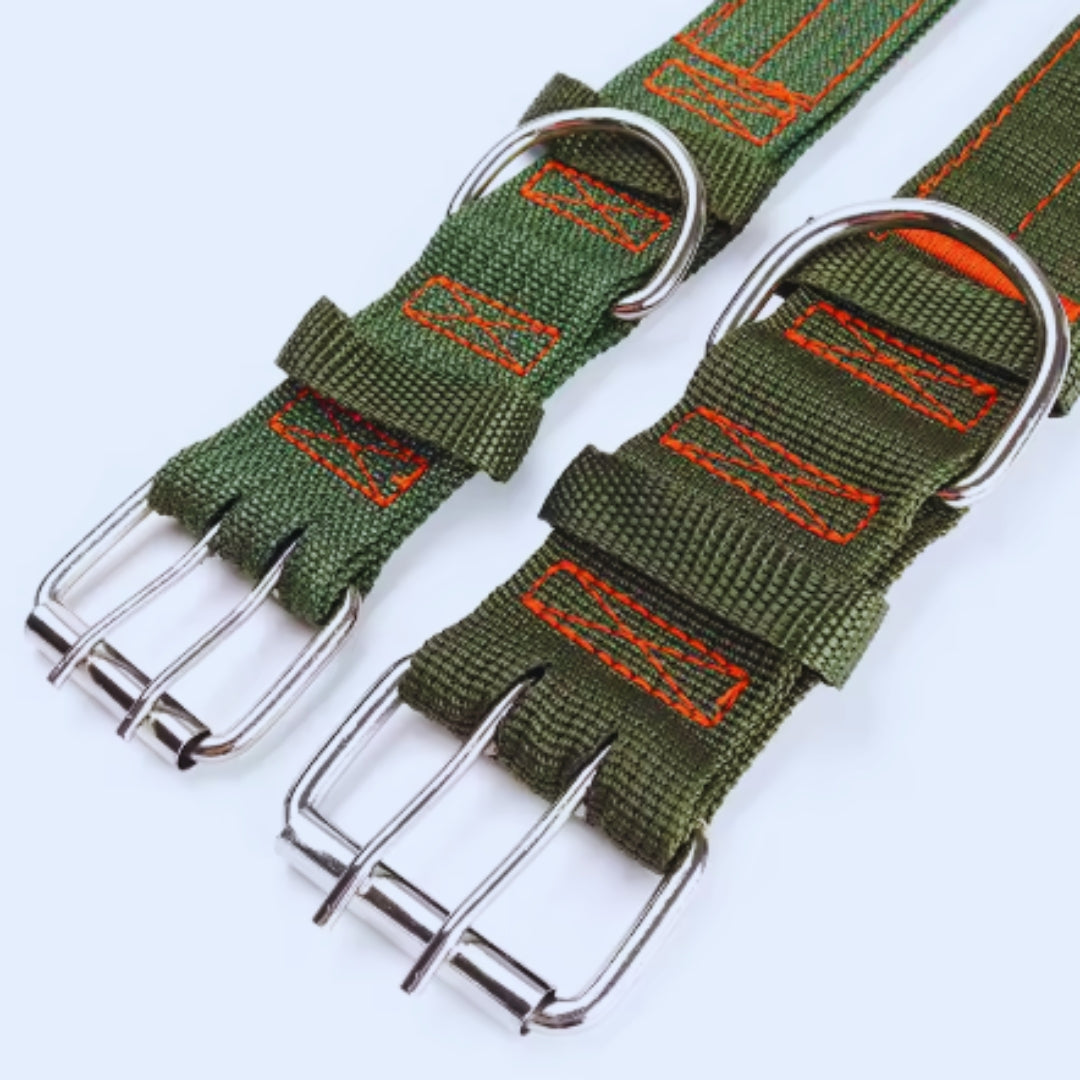Adjustable nylon dog collar with metal buckle, standard