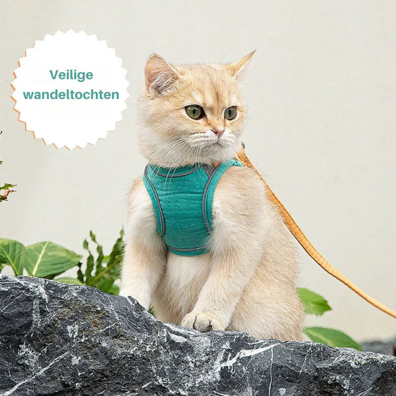 Cute cat harness in premium soft quality