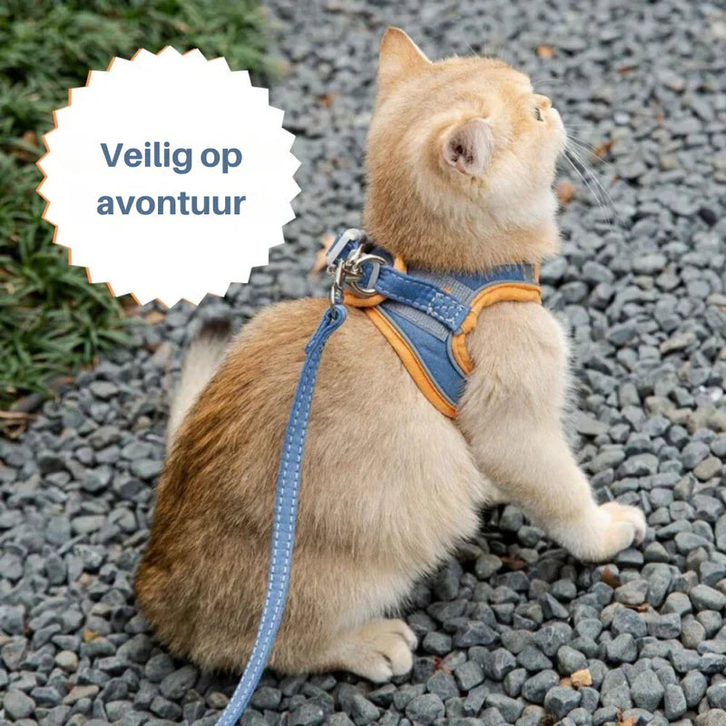 Cute cat harness in premium soft quality