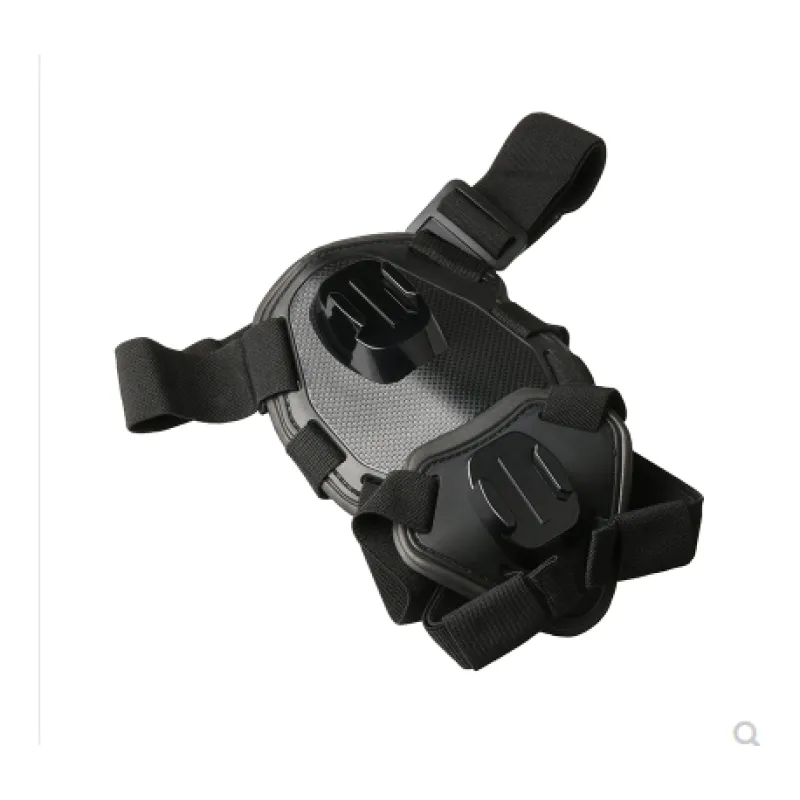 Action camera harness for dogs with holder for chest and back
