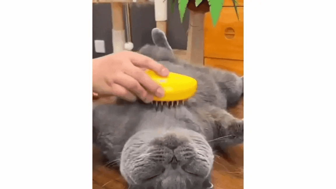 Steamy Cat Brush