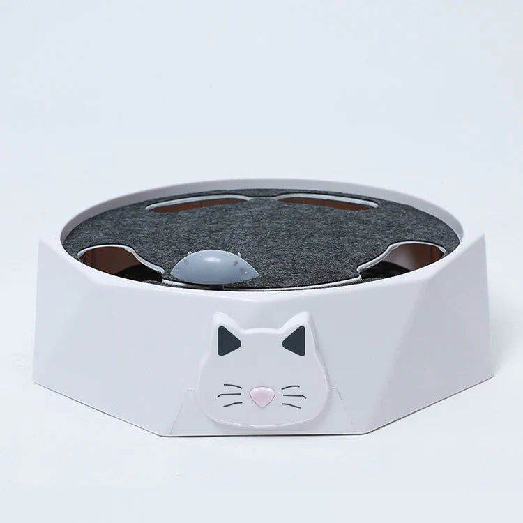Interactive Mouse hide-and-seek Game for Cats