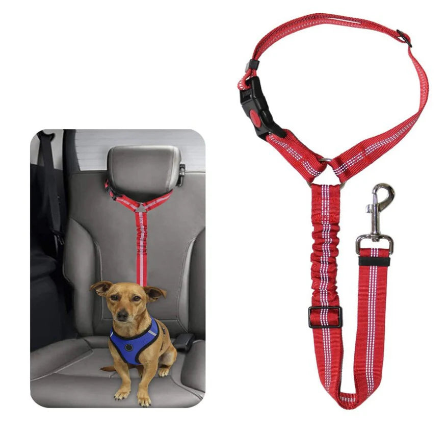 Dog Car Seat Belt