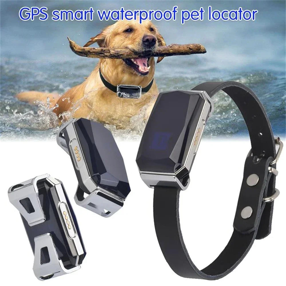 Genuine GPS tracker for pets ‘Spie’ incl. tracking data storage