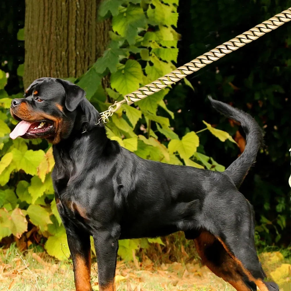 Dog Lead made of Titanium Steel - suitable for 19mm (Cuba V2) or 32mm thick "Toronto"