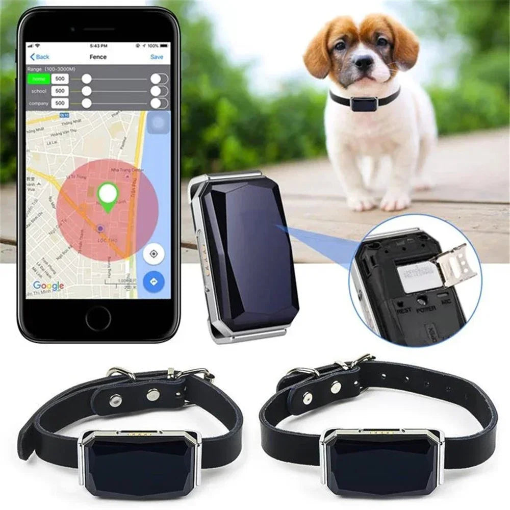 Genuine GPS tracker for pets ‘Spie’ incl. tracking data storage