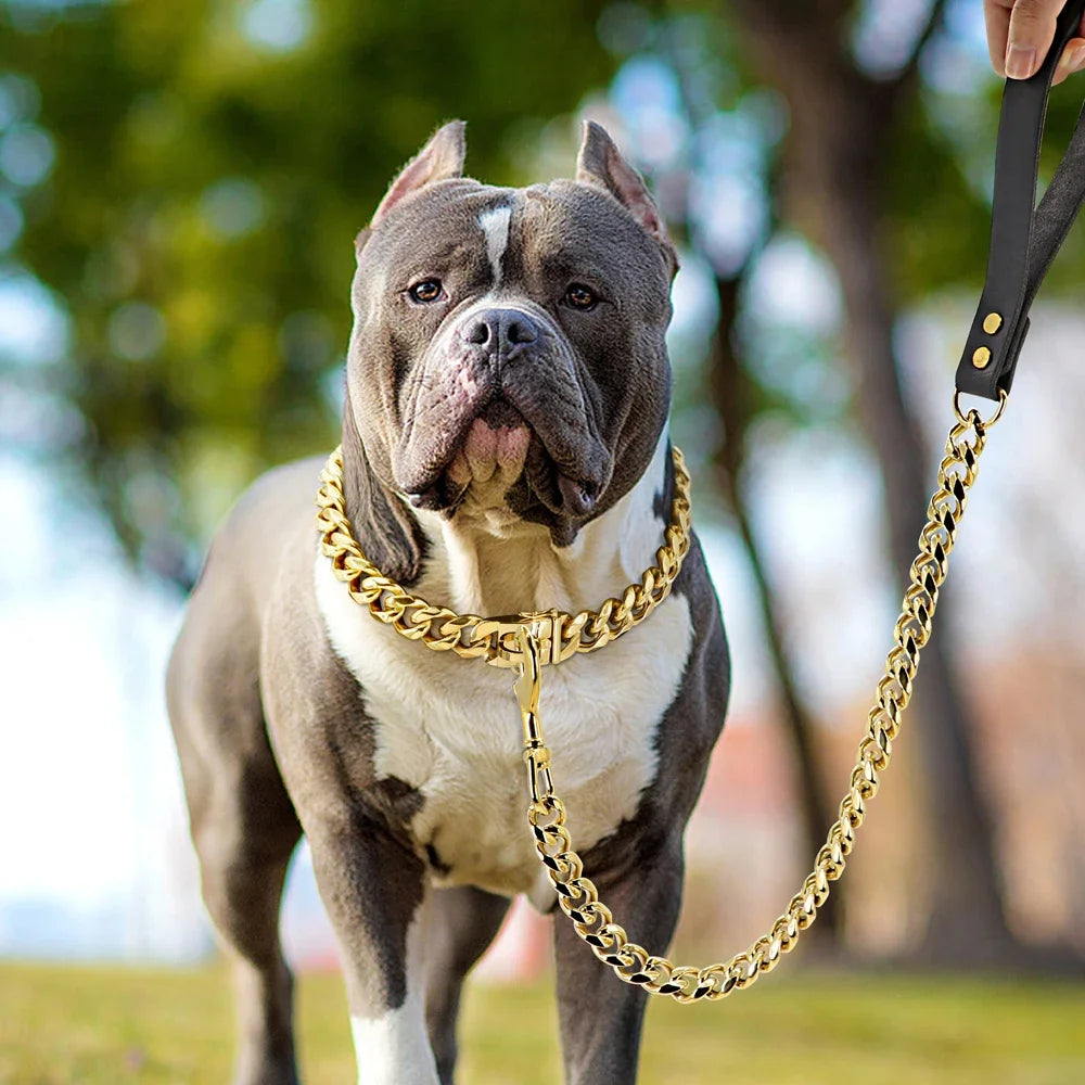 Dog Lead made of Titanium Steel - suitable for 19mm (Cuba V2) or 32mm thick "Toronto"