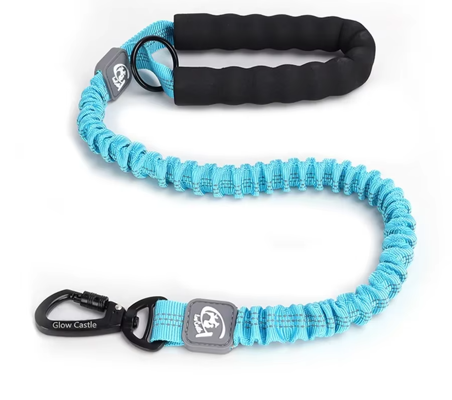 Shock-absorbing dog leash for large dogs