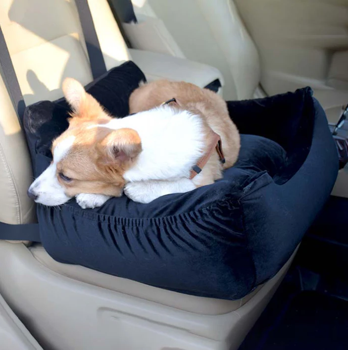 Comfortable car seat cover for pets – transport for dogs and cats