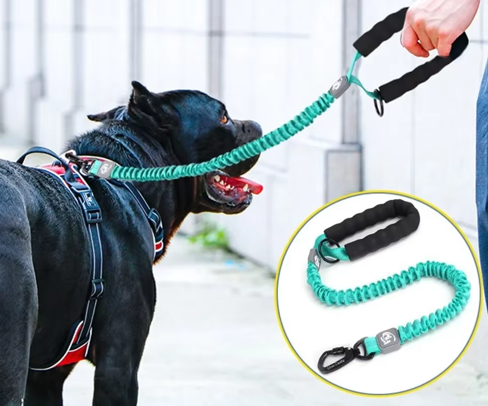 Shock-absorbing dog leash for large dogs
