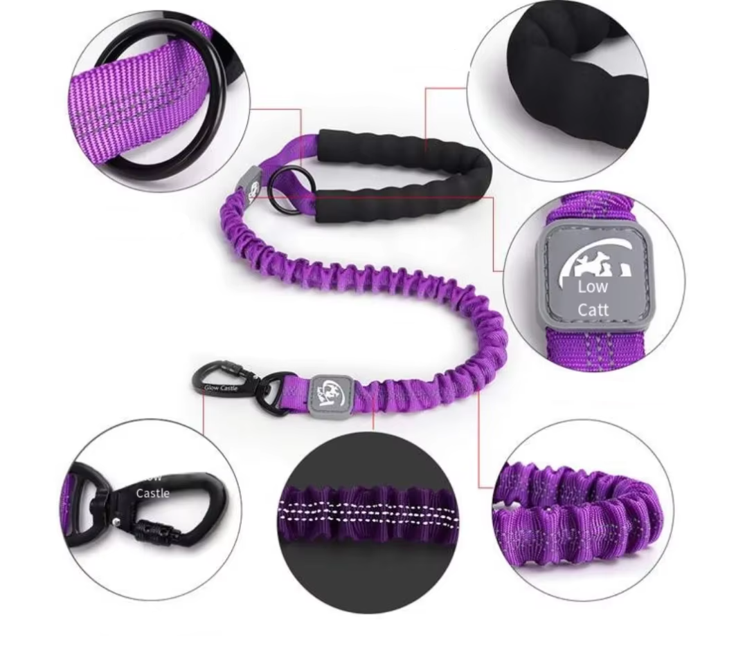 Shock-absorbing dog leash for large dogs
