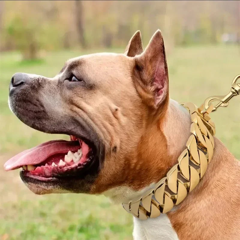 Dog necklace made of titanium steel 32mm thick "Toronto"