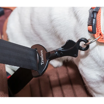 Premium anchor for the seat belt in the car