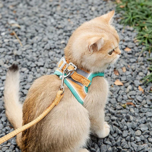 Cute cat harness in premium soft quality