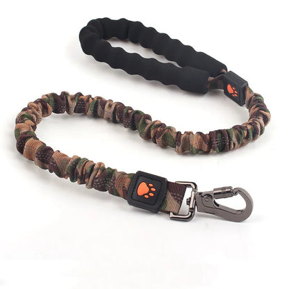 Elastic dog leash with shock absorption