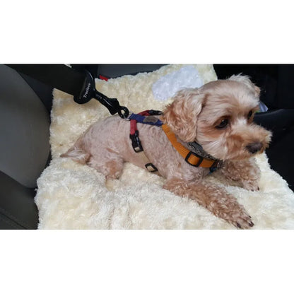 Premium anchor for the seat belt in the car
