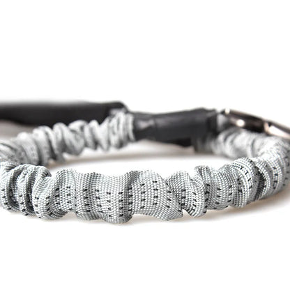 Shock-absorbing dog leash for large dogs