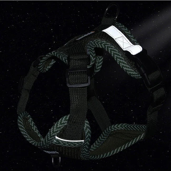 Dog harness with lead for small dogs with reflector