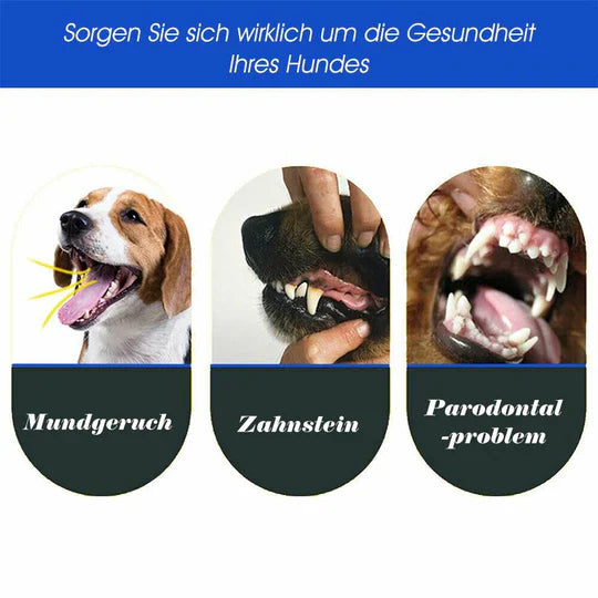 3-head dog toothbrush – Effective cleaning for healthy teeth
