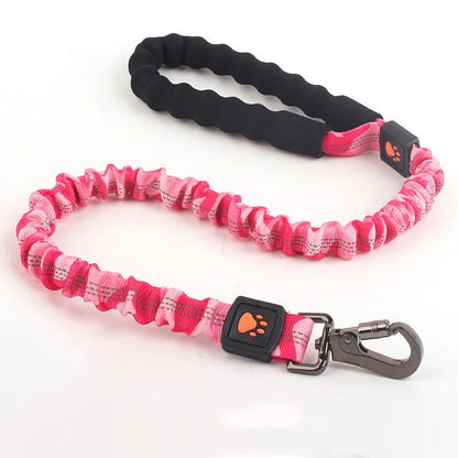 Elastic dog leash with shock absorption
