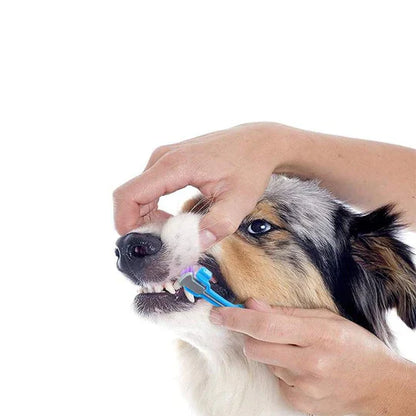 3-head dog toothbrush – Effective cleaning for healthy teeth