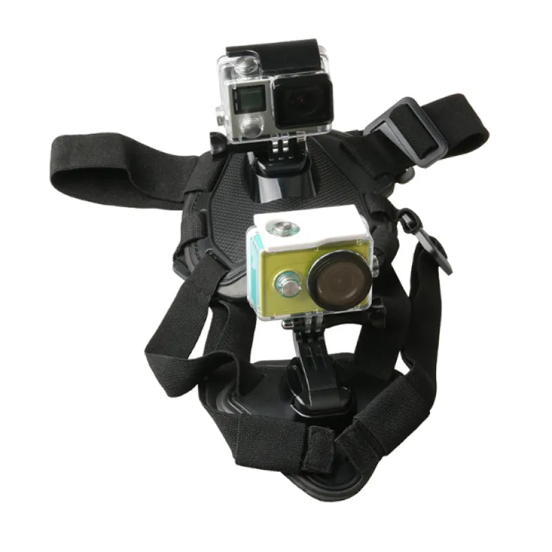 Action camera harness for dogs with holder for chest and back