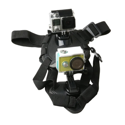 Action camera harness for dogs with holder for chest and back
