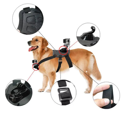 Action camera harness for dogs with holder for chest and back