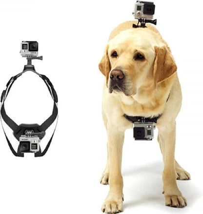 Action camera harness for dogs with holder for chest and back
