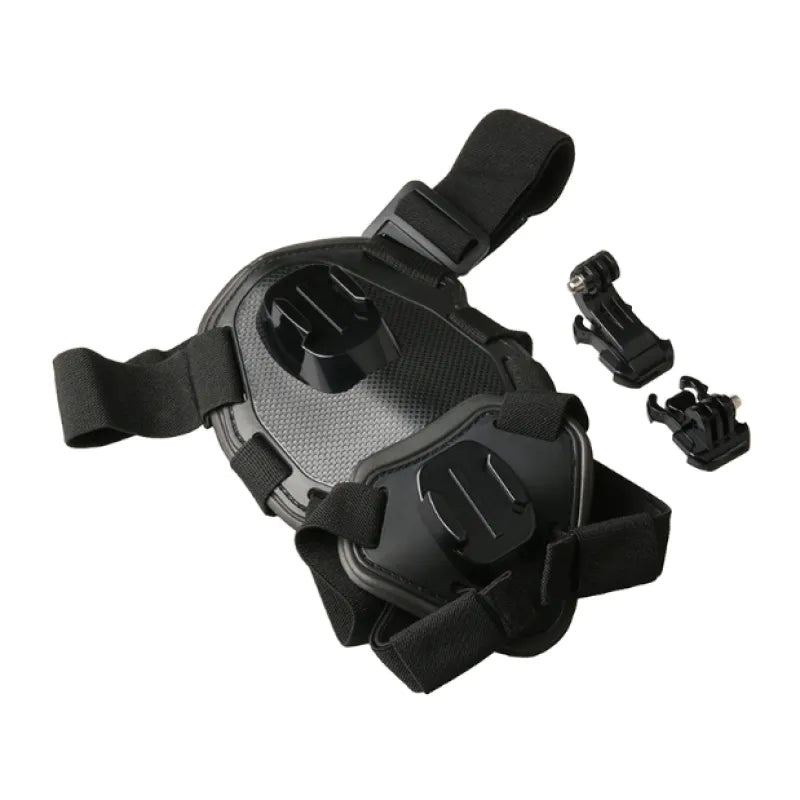 Action camera harness for dogs with holder for chest and back