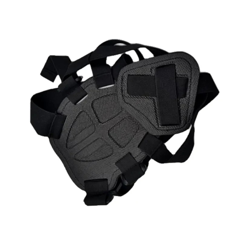 Action camera harness for dogs with holder for chest and back