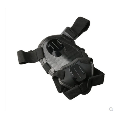 Action camera harness for dogs with holder for chest and back