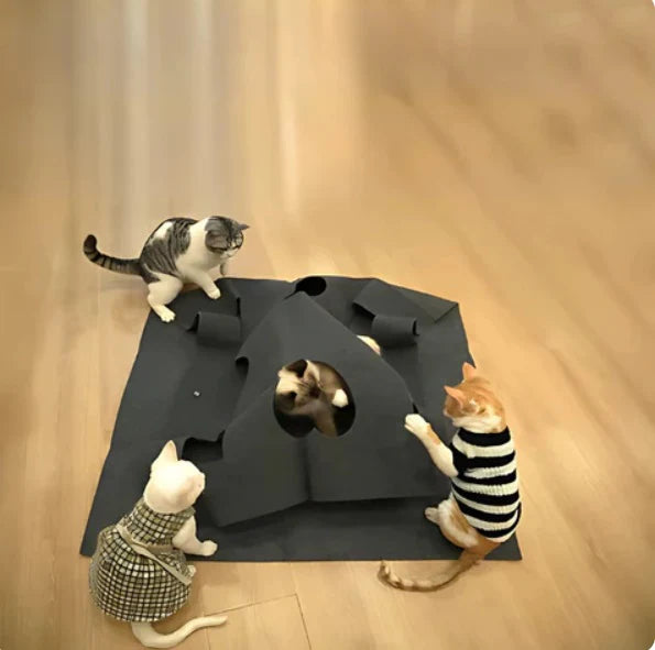 Creative Play and hiding Mat for Cats