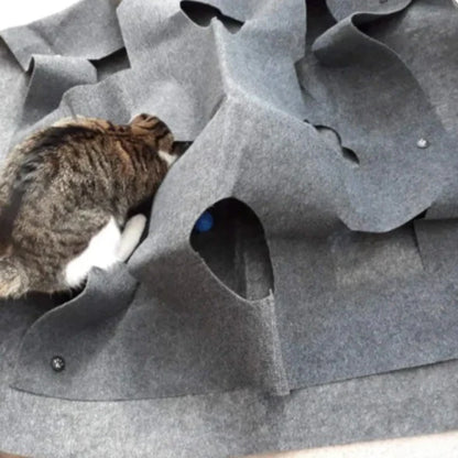 Creative Play and hiding Mat for Cats