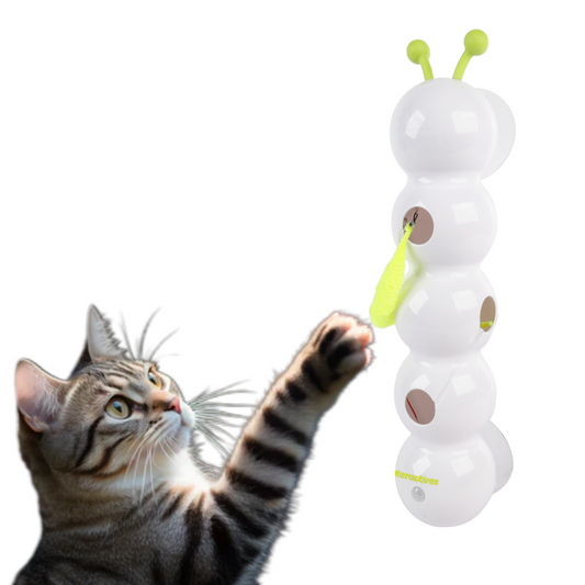 Interactive cat toy "Hide the caterpillar"