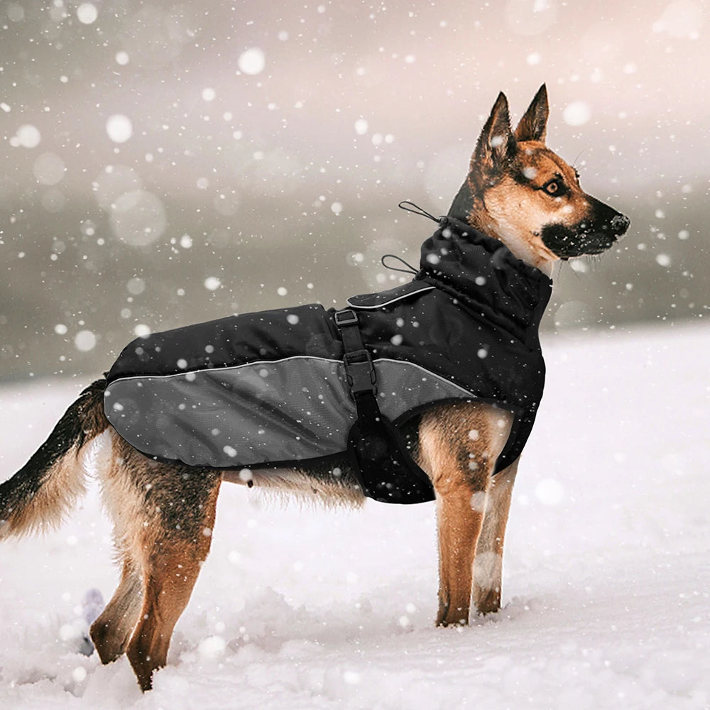 Waterproof raincoat for dogs, including suitability for dog harnesses "Storm Protection+"