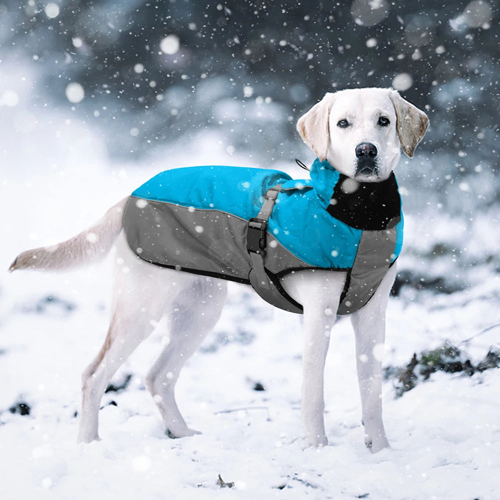 Waterproof raincoat for dogs, including suitability for dog harnesses "Storm Protection+"